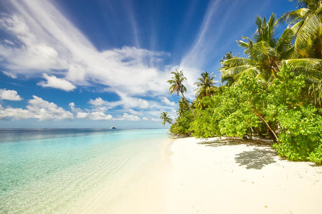 tropical beach